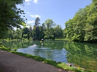 Schlosspark in Donaueschingen