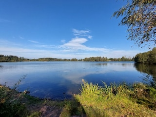 Riedsee in Pfohren, ca. 18 km