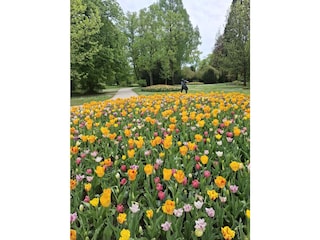 Stadtpark in Singen