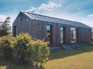 Modern tiny house on the park