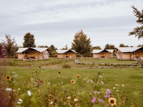 Ferienhaus Gruppenaufenthalt Gruppenzelt mit 3 Fünfpersonen-Glamping-Zelten (15 Personen)