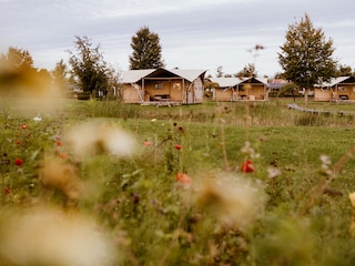 Ferienhaus Bant Umgebung 19