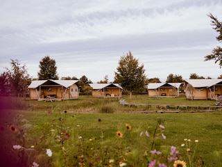 Ferienhaus Bant Umgebung 20