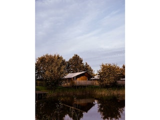 Holiday home among the trees