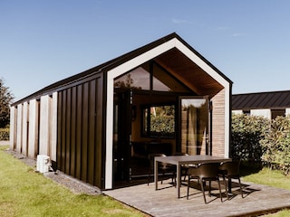 Modern tiny house on the park