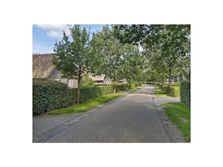 Ferienhaus Appelscha Umgebung 32