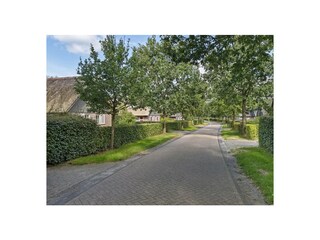 Ferienhaus Appelscha Umgebung 32