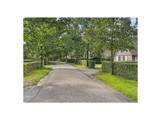 Ferienhaus Appelscha Umgebung 33