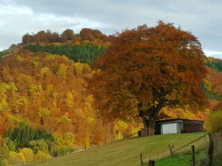 Umgebung im Herbst