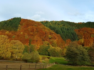 Umgebung im Herbst