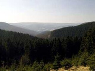 Appartement de vacances Winterberg Environnement 23