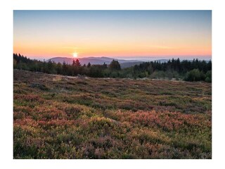 Sonnenuntergang am Asten