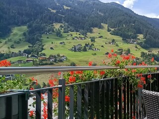 Ausblick Sommer