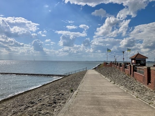 Am Horn von Eckwarderhörne