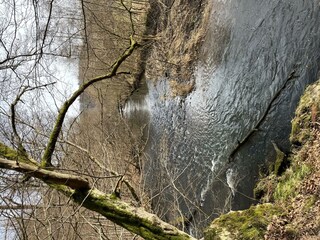 Die große Nister bei Marienstatt II