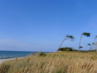 Ferienwohnung Zingst Umgebung 29