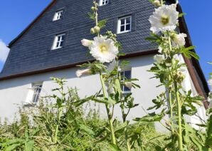 Apartment Ferienhaus Süd 1
