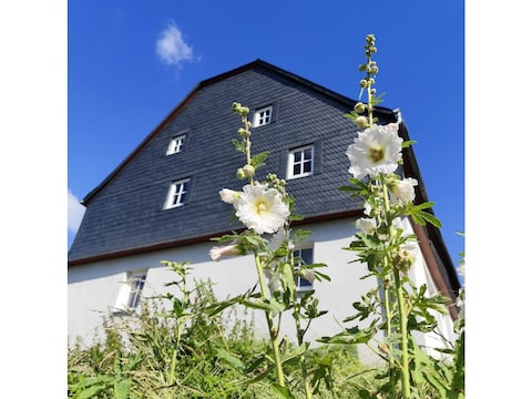 Apartment Ferienhaus Süd 1