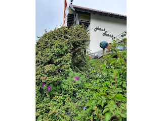 Haus Franz
