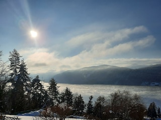 20210111_095627