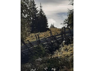 Blick auf den Rosenkofel