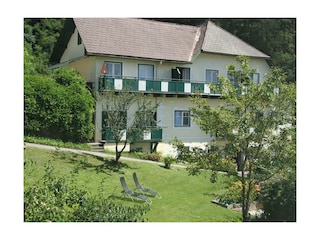 image (6)