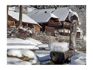 im_winter