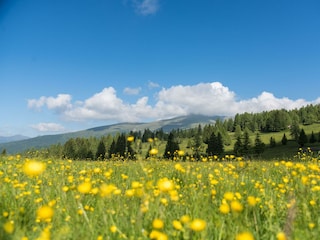 Urlaub auf der Hochrindl
