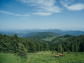 Sommer auf der Hochrindl