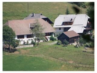 Der Hof