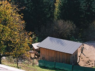 Pferdeunterstand