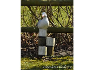 Die Möwe bewacht unseren Garten