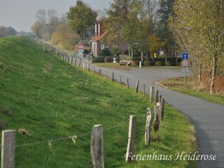 Am Deich kann man endlos wandern...