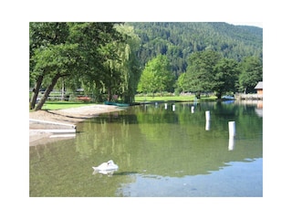 Camping Brunner am See