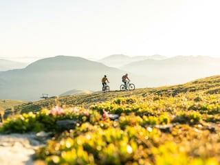 Radfahren_NOCKBIKE_Gipfel Shared Trail Falkert-Hei