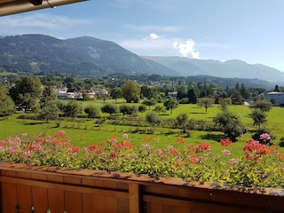 Ausblick
