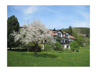 Landhaus Pichler im Frühling