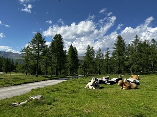 Foto 04.06.22, 16 18 17
