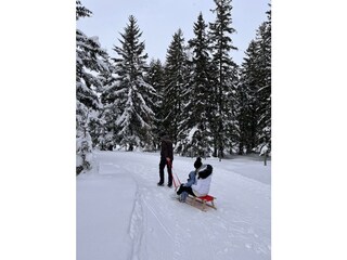 Foto 28.01.23, 11 56 42 (1)