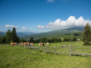 Urlaub auf der Hochrindl
