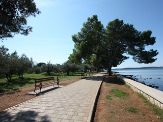 Appartamento per vacanze Fažana Ambiente 17