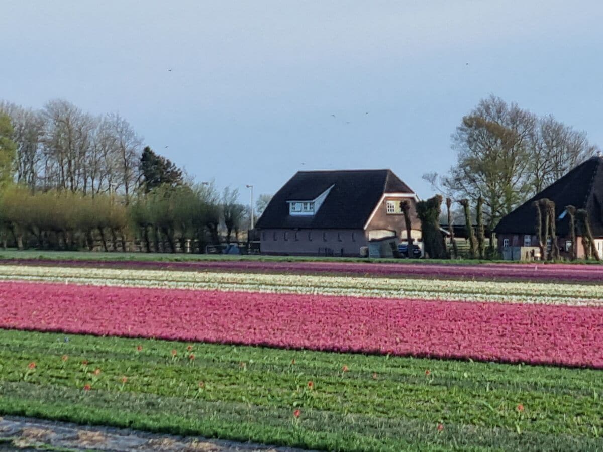 Wohnung mit seitlichem Blick