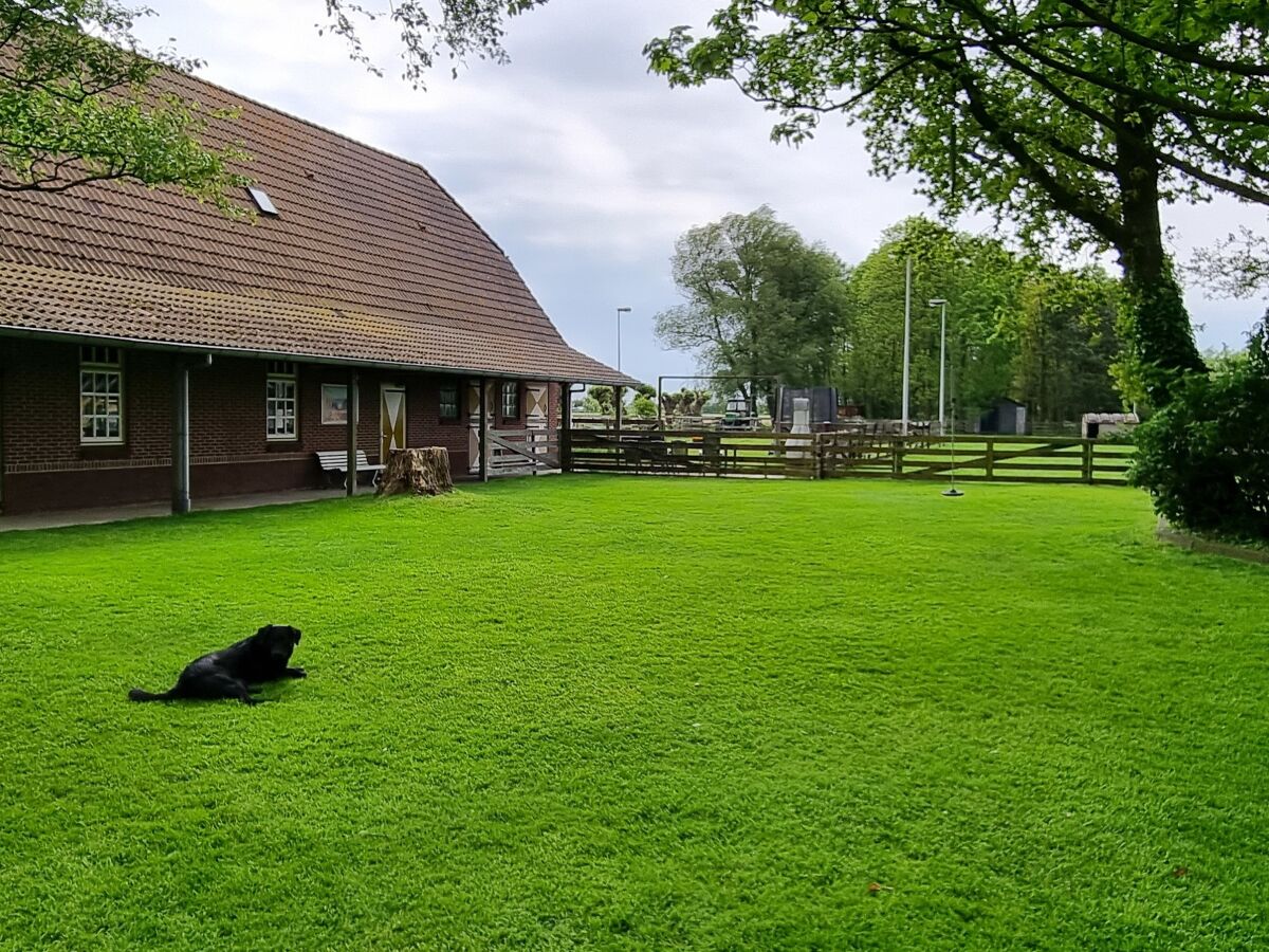 Großer Garten mit Kinderspielplatz