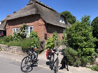 Holiday house Steinbergkirche Outdoor Recording 2