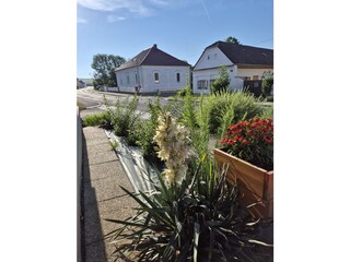 Blick auf die  Umgebung der Wohnung Holler, Langerhof