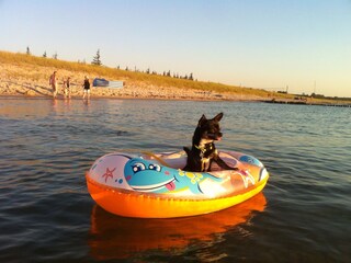 Ostseepirat Zorro vom Piratennest Darss mit Hund