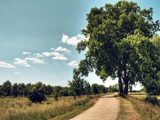 Holiday house Maastricht Environment 31