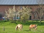 Die Ferienwohnung von außen (großes Glaselement)