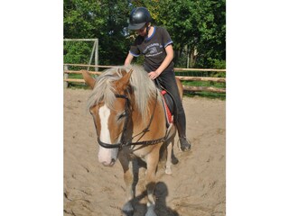 Reiten im Paddock, im Hintergrund der Bolzplatz