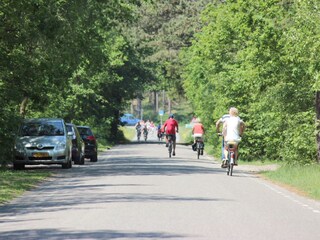 Casale De Koog Ambiente 26